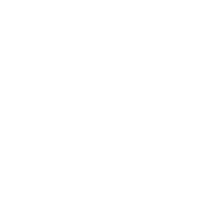 Icon: Shopping & Entertainment